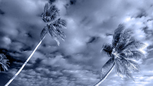 Low angle view of trees against cloudy sky