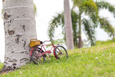 Bicycle by tree on field