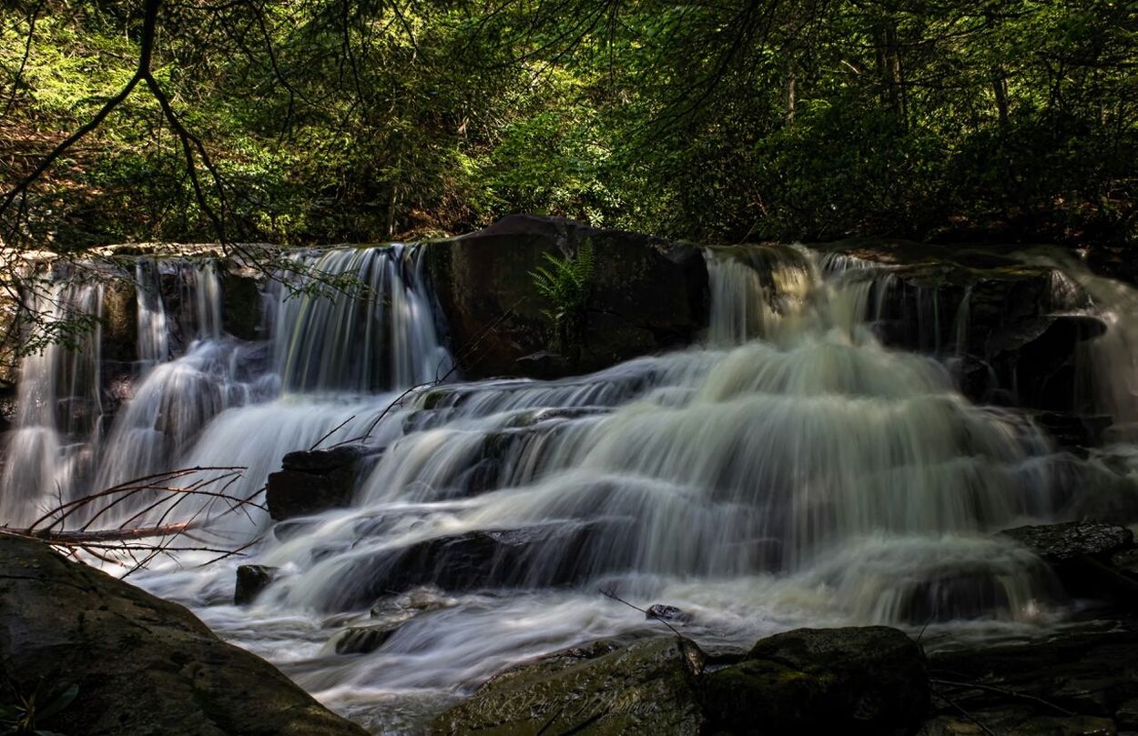 waterfall, motion, water, flowing water, long exposure, forest, tree, flowing, beauty in nature, scenics, nature, rock - object, blurred motion, environment, growth, idyllic, splashing, outdoors, day, plant