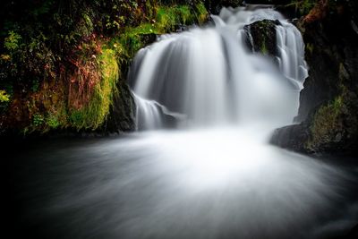 Scenic view of waterfall in forest