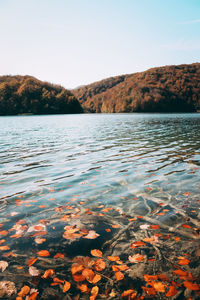 Scenic view of lake against clear sky