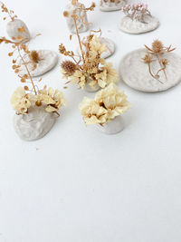 High angle view of white roses on table