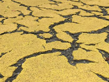 Full frame shot of yellow landscape