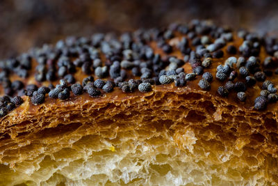 Close-up of bread with poppy seeds