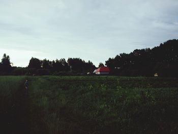 Scenic view of field against sky