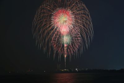 Firework display at night