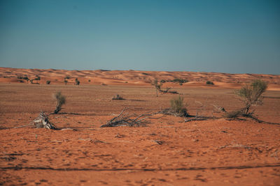 Scenic view of desert against clear blue sky