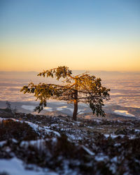 Scenic view of sea against clear sky during sunset