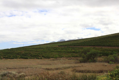 Scenic view of grassy field against cloudy sky