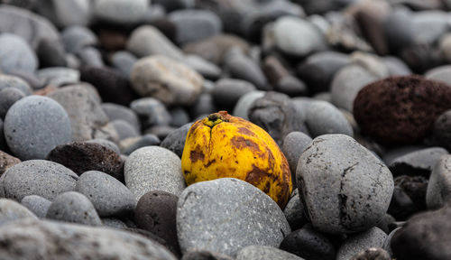 Close-up of pebbles