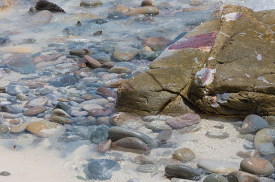 High angle view of stones on beach