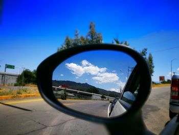 Reflection of trees on side-view mirror of car