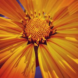 Full frame shot of yellow flower