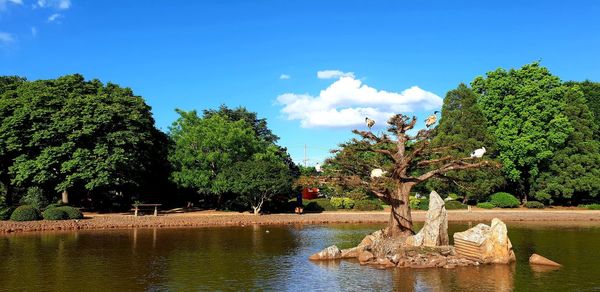 Trees by lake against sky