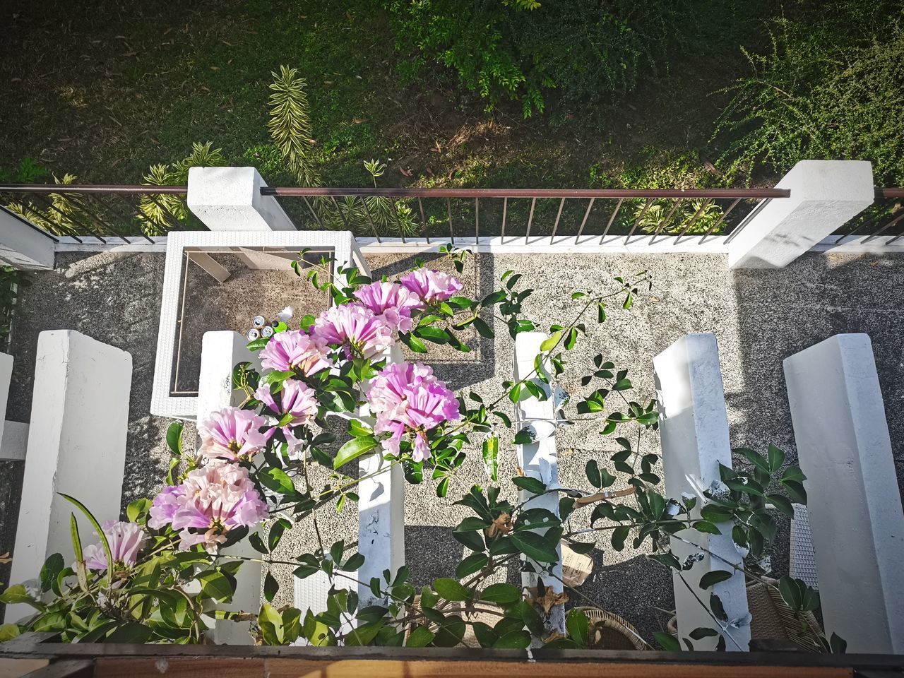 plant, flower, flowering plant, nature, grave, growth, no people, freshness, cemetery, day, beauty in nature, high angle view, outdoors, backyard, front or back yard, potted plant, architecture, floristry, garden, arrangement, fragility, flowerpot, table, sunlight, seat, yard