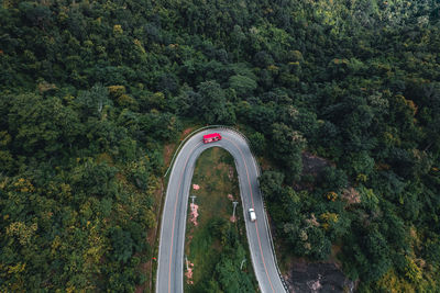 High angle view of bridge over road in forest