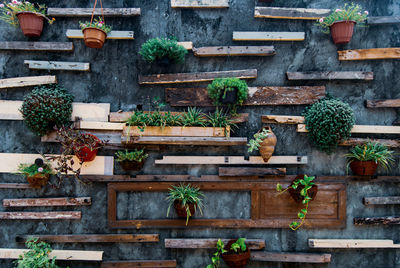 Grey wall with potted plants and wooden boards