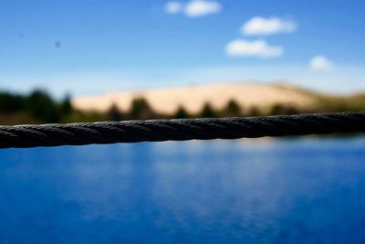Close-up of tree against blue sky