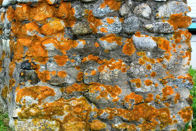 Full frame shot of textured surface