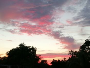 Low angle view of silhouette trees against dramatic sky