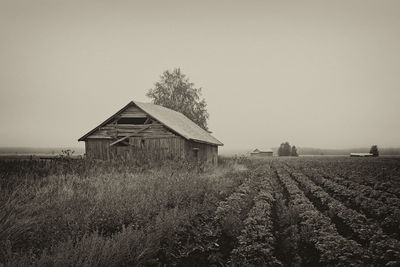 The mist covers the barns on the fields of the northern finland.