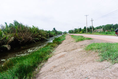 Dirt road amidst plants against sky