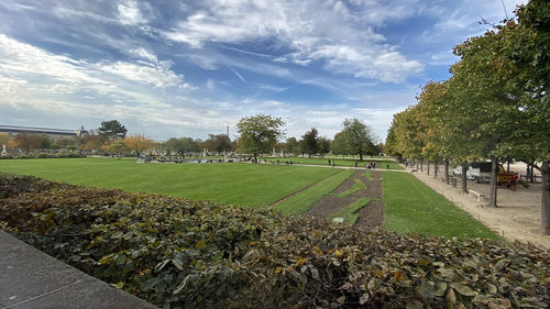Trees on field against sky