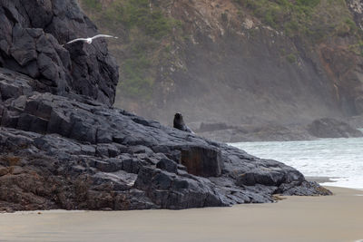 Scenic view of rock formation in sea