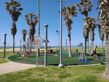 Panoramic shot of palm trees in park against sky