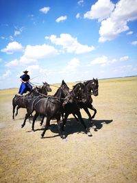 Man riding horses on field against sky