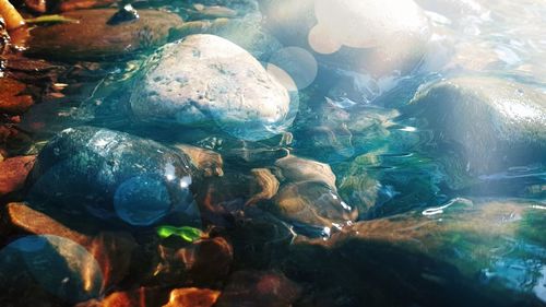 Close-up of stones in sea