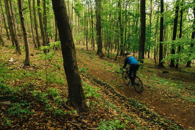 Man riding bicycle in forest