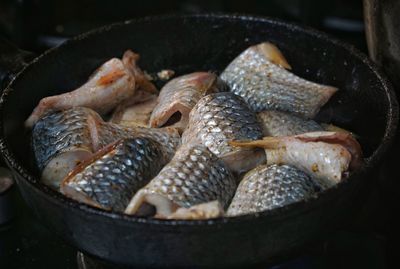 High angle view of fish in container