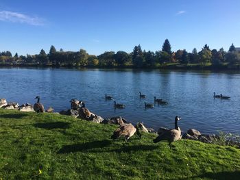 Scenic view of lake against sky