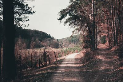 Dirt road amidst trees in forest against sky