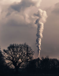 Low angle view of silhouette tree against sky