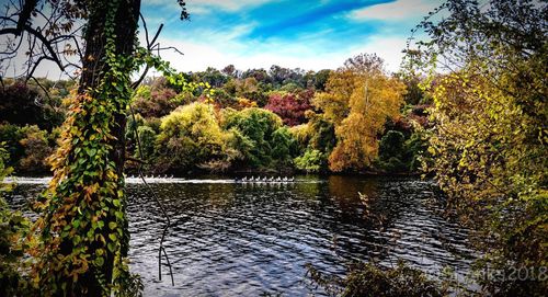 Scenic view of lake against sky during autumn