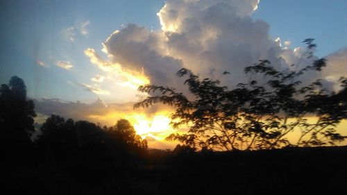 Silhouette trees against sky during sunset