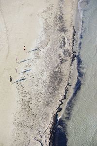 High angle view of crab on sand