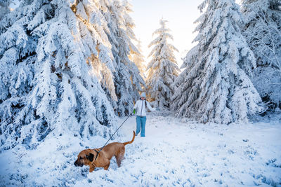 Dog on snow covered landscape during winter