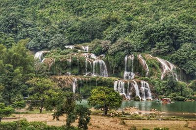 Scenic view of waterfall in forest