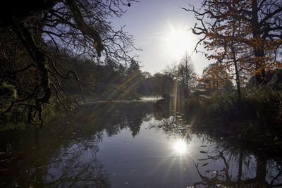 Sunlight streaming through trees in lake against sky