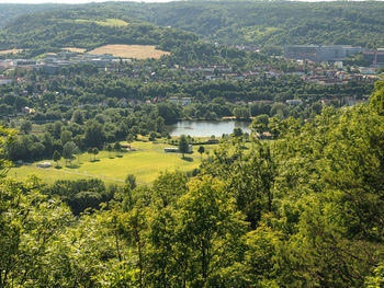 High angle view of agricultural field