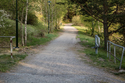 Road amidst trees