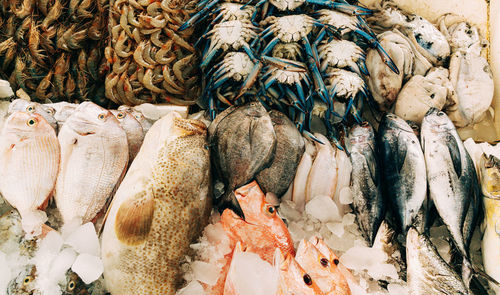 Full frame shot of seafood for sale