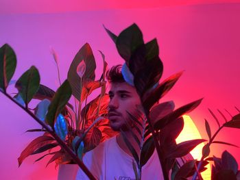 Close-up of person on pink plant against sky during sunset