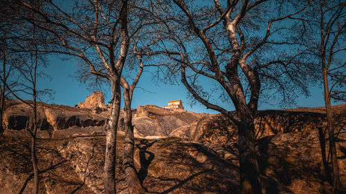 Bare trees on rock formations against sky