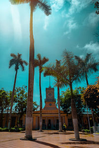 Palm trees by building against sky