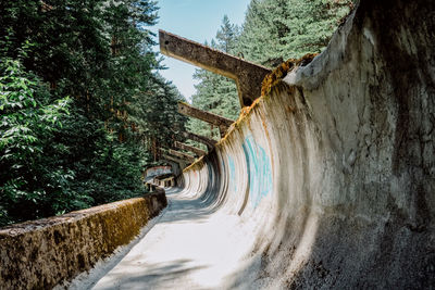 Empty bobsleigh track amidst trees