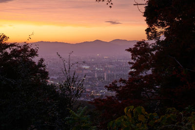 Trees and cityscape against sky during sunset